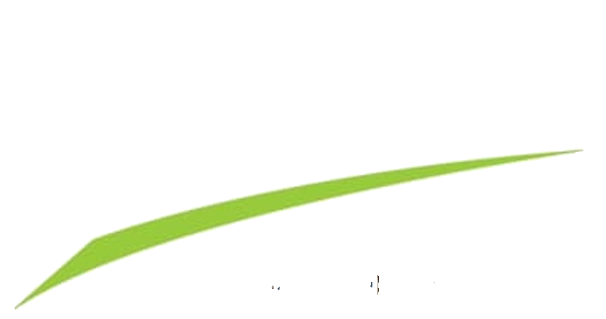TopToit94