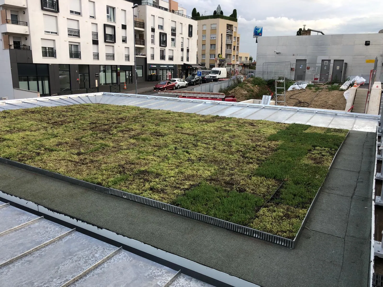 Toiture terrasse végétalisée en milieu urbain